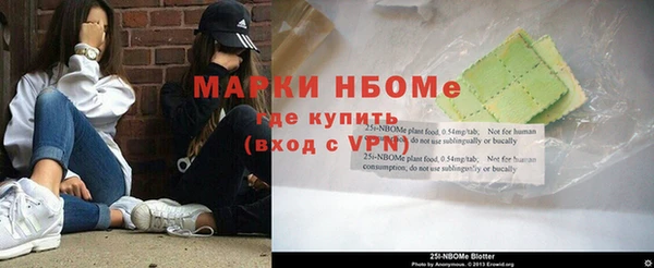 мдпв Лабытнанги