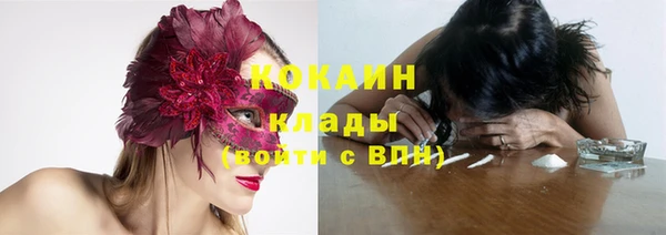 мдпв Лабытнанги