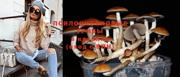 мдпв Лабытнанги