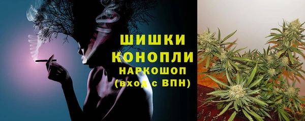 мдпв Лабытнанги