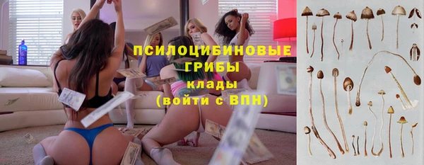 мдпв Лабытнанги