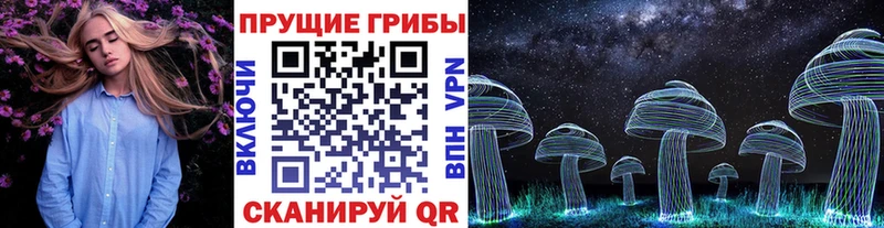 Купить где  Красновишерск  Галлюциногенные грибы прущие грибы 